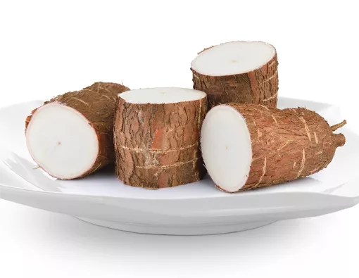 Umbi singkong (ubi kayu) dipotong