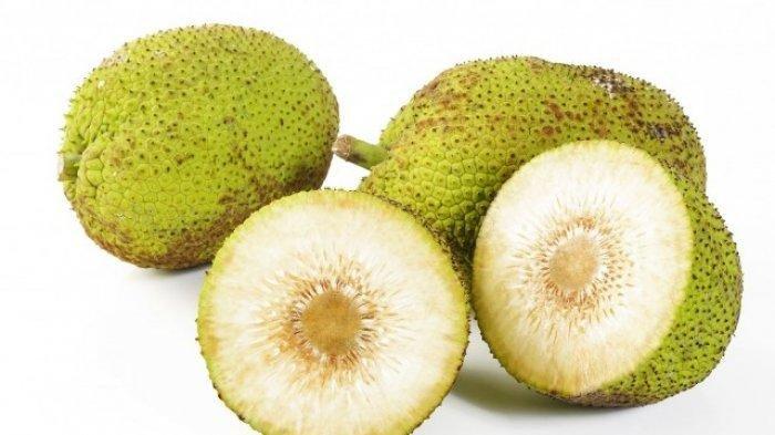 Buah sukun