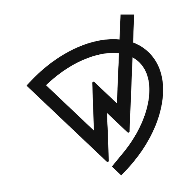 DataWizart DW mark