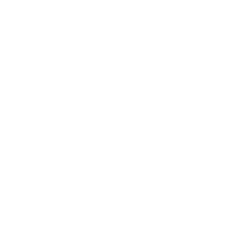 DataWizart DW mark
